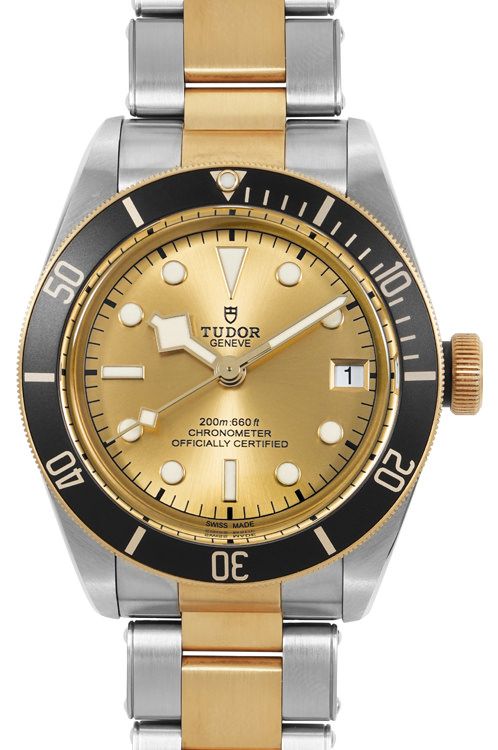 Tudor Black Bay M79733N