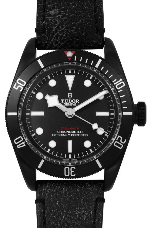 Tudor Black Bay 79230DK