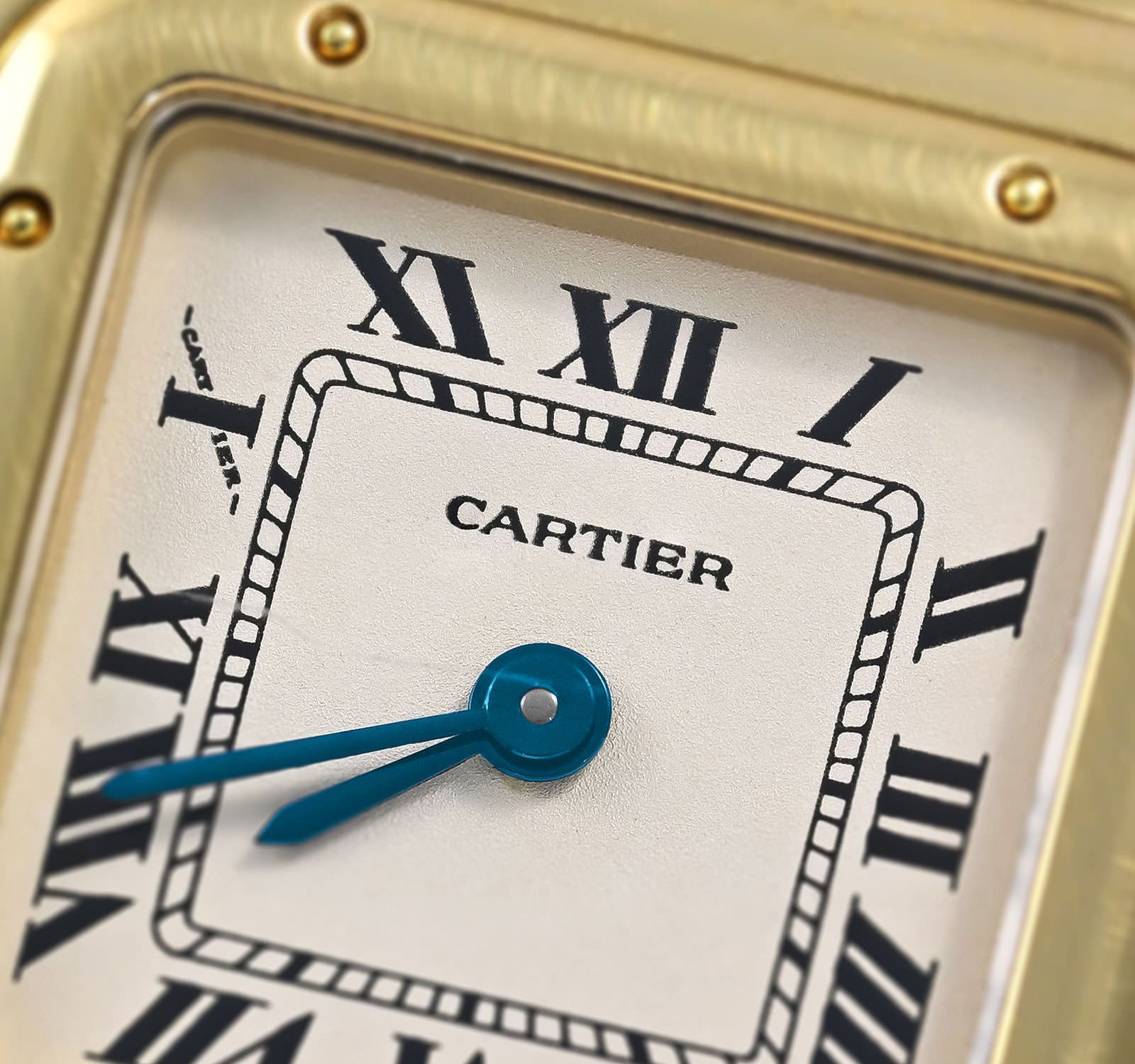 Panthere de Cartier W25022B9