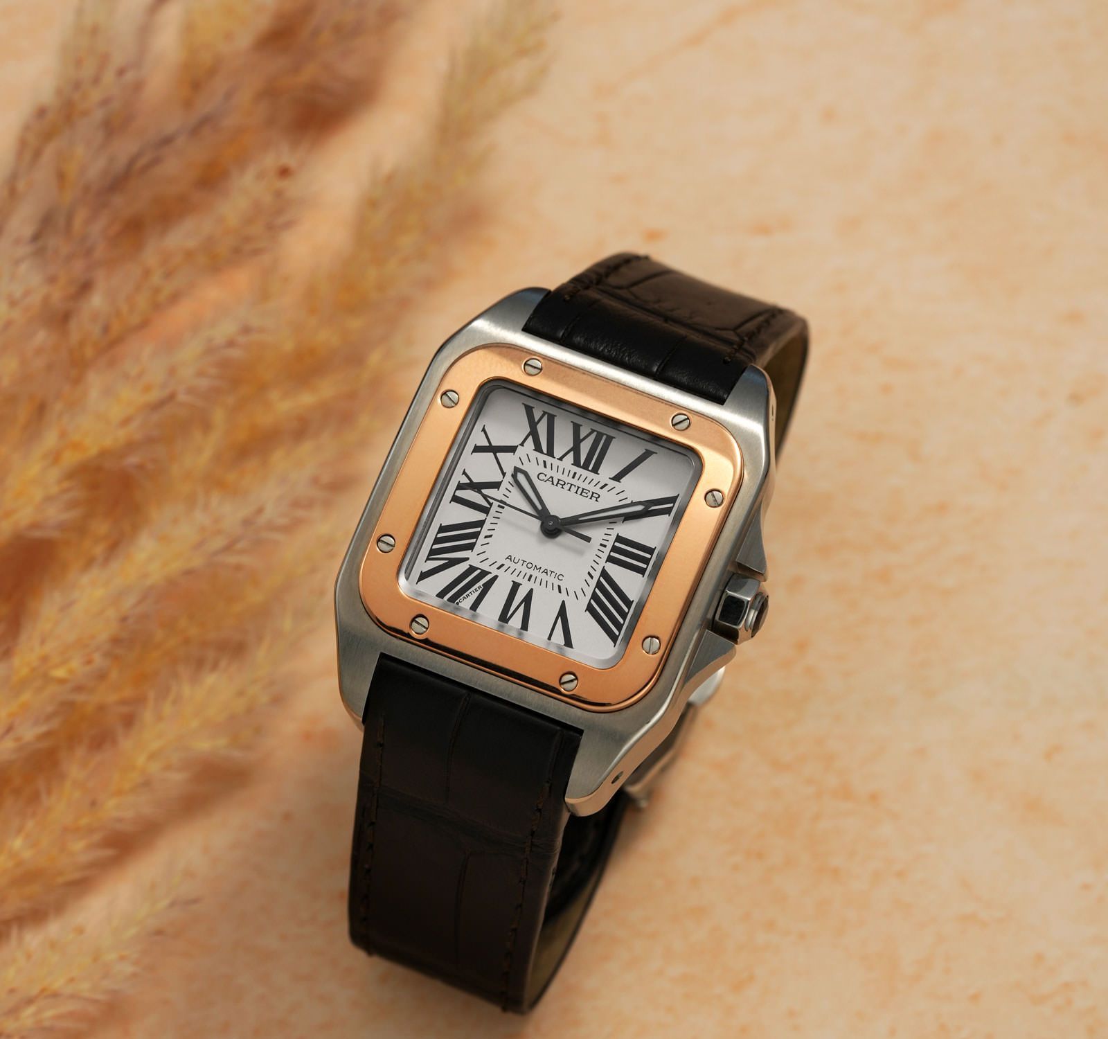 Cartier W20072X7