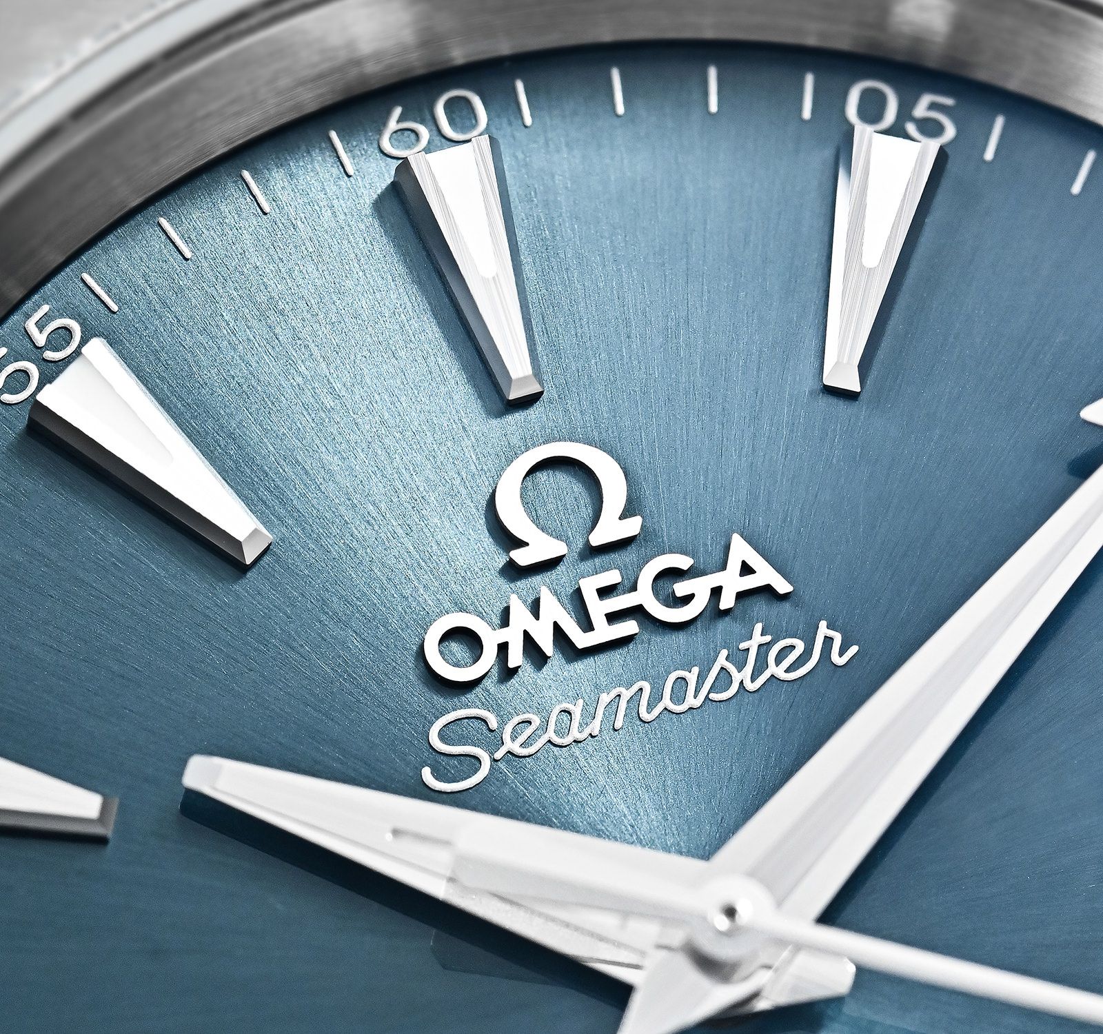 Seamaster 220.10.38.20.03.003