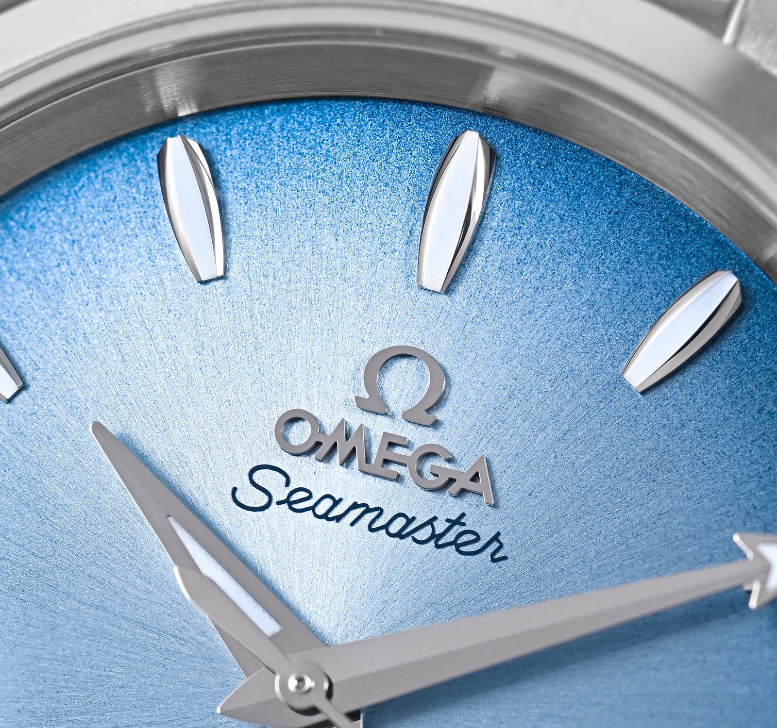 Seamaster 220.10.38.20.03.004