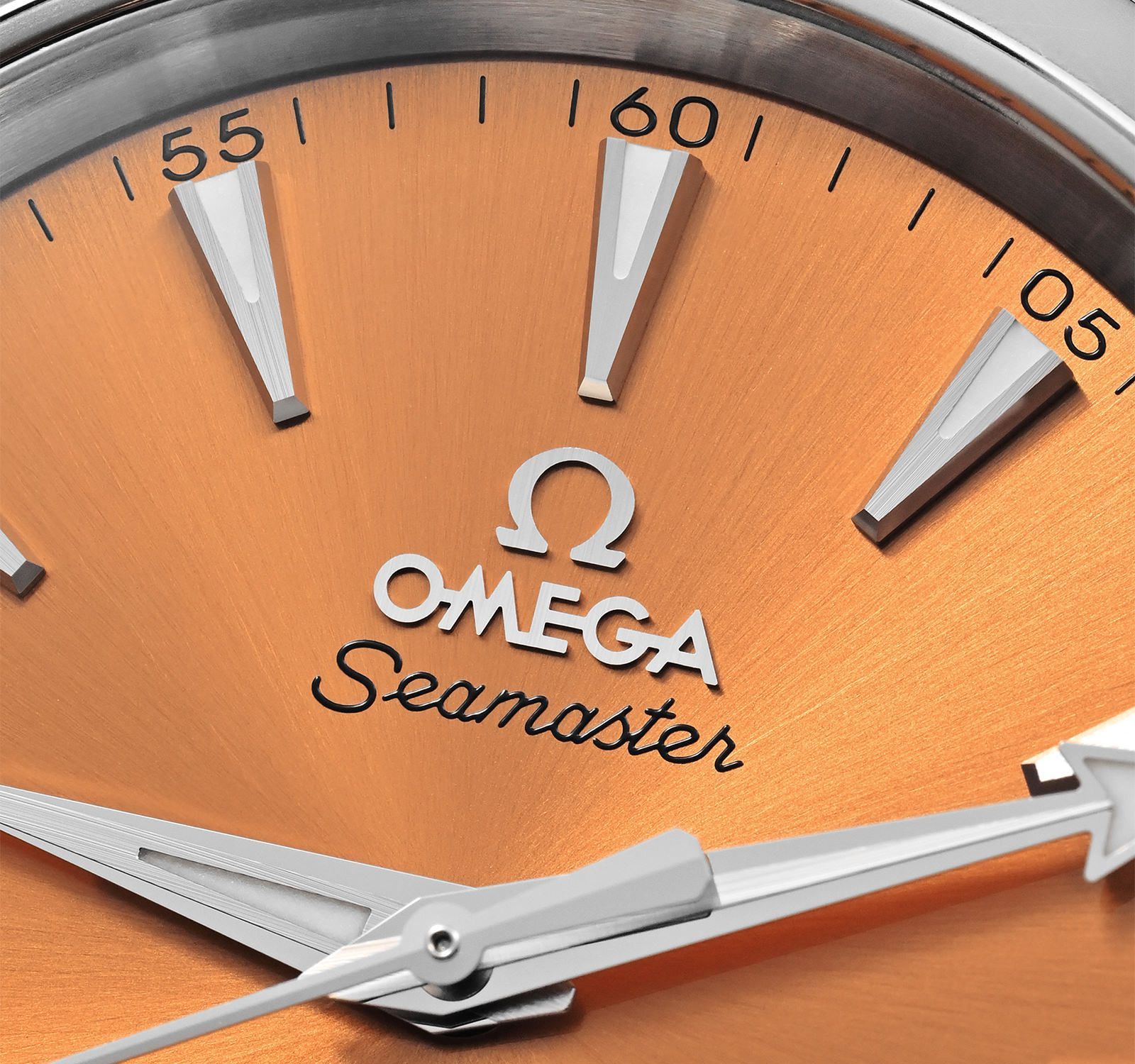 Seamaster 220.10.38.20.12.001