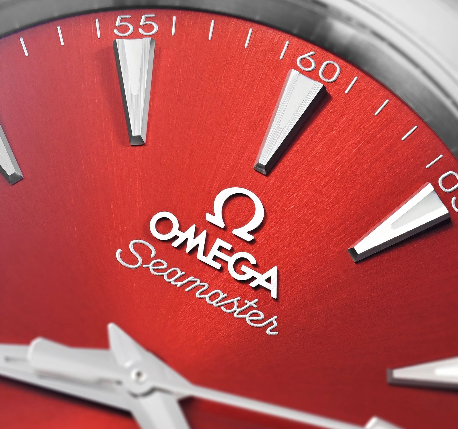 Seamaster 220.10.38.20.13.003