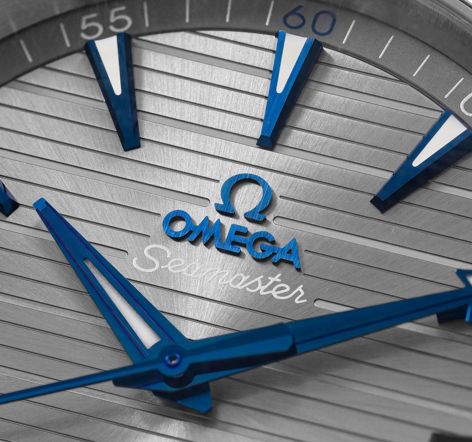 Seamaster 220.12.41.21.06.001