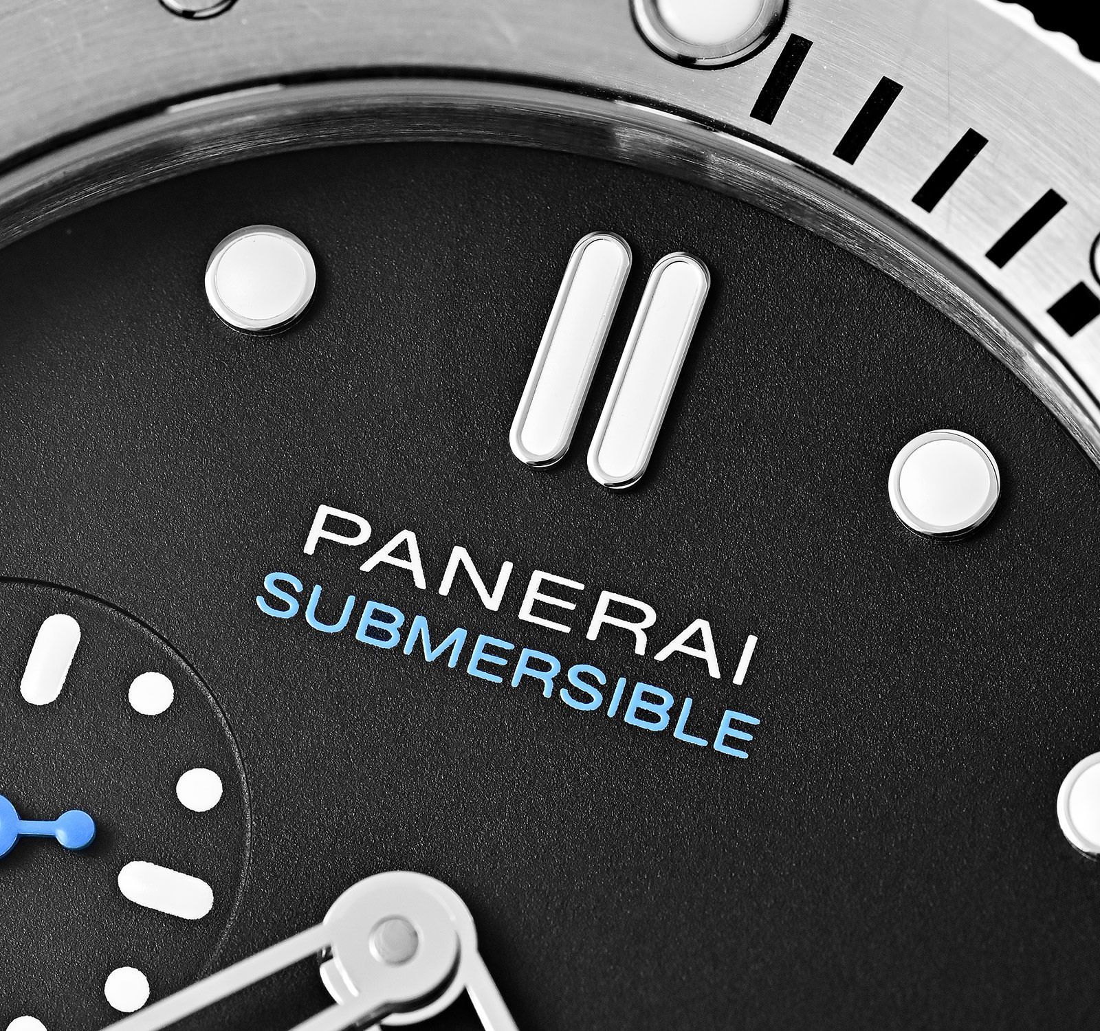 Submersible PAM00973-1