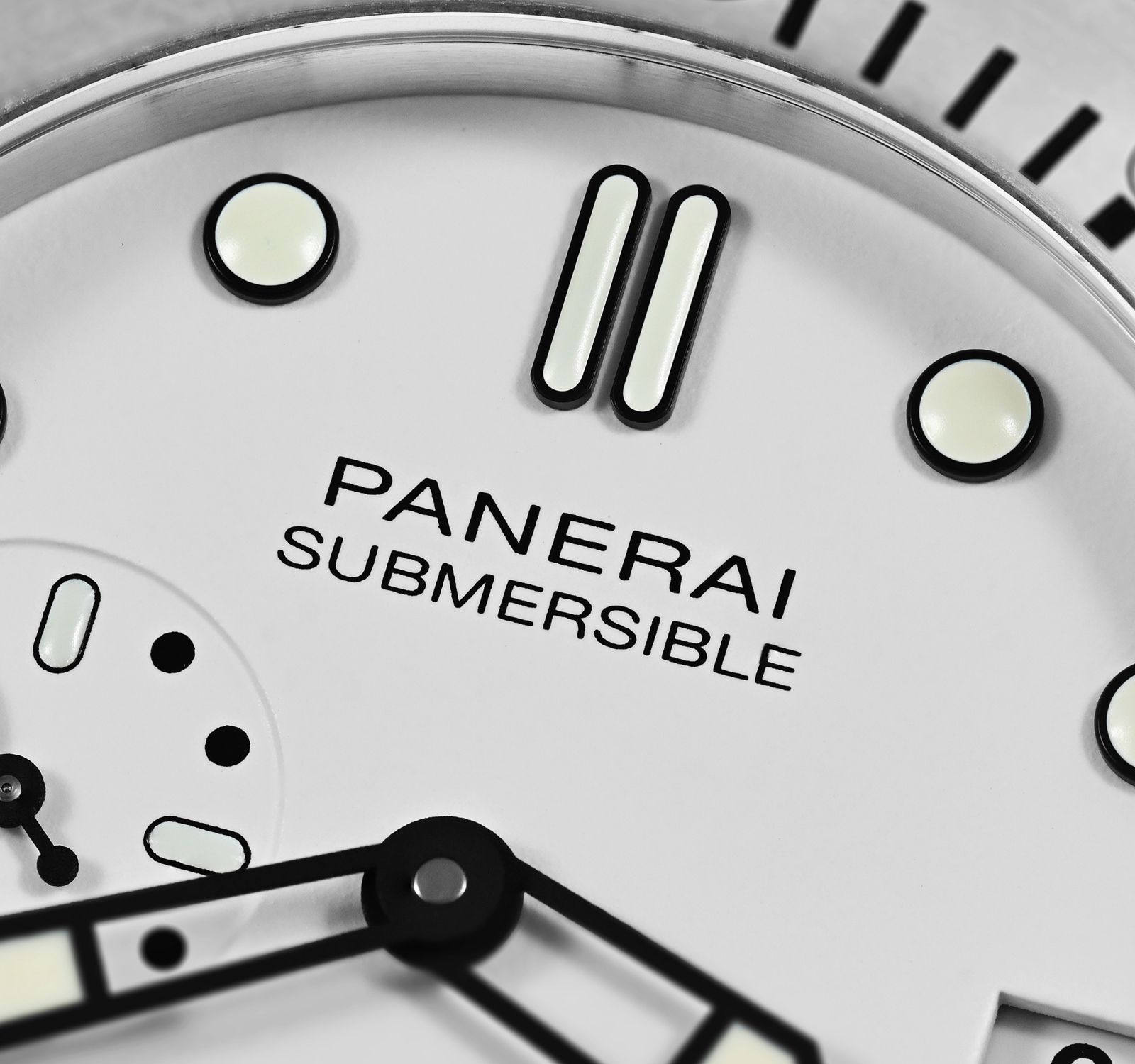 Submersible PAM01223