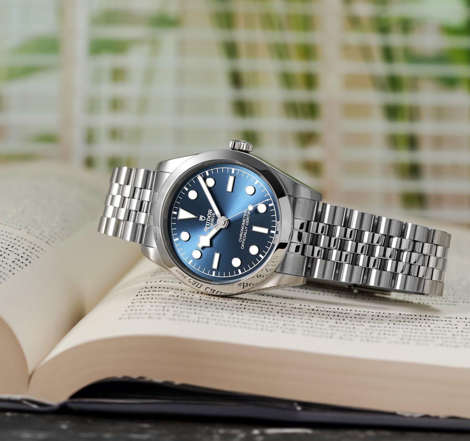 Tudor heritage online 36