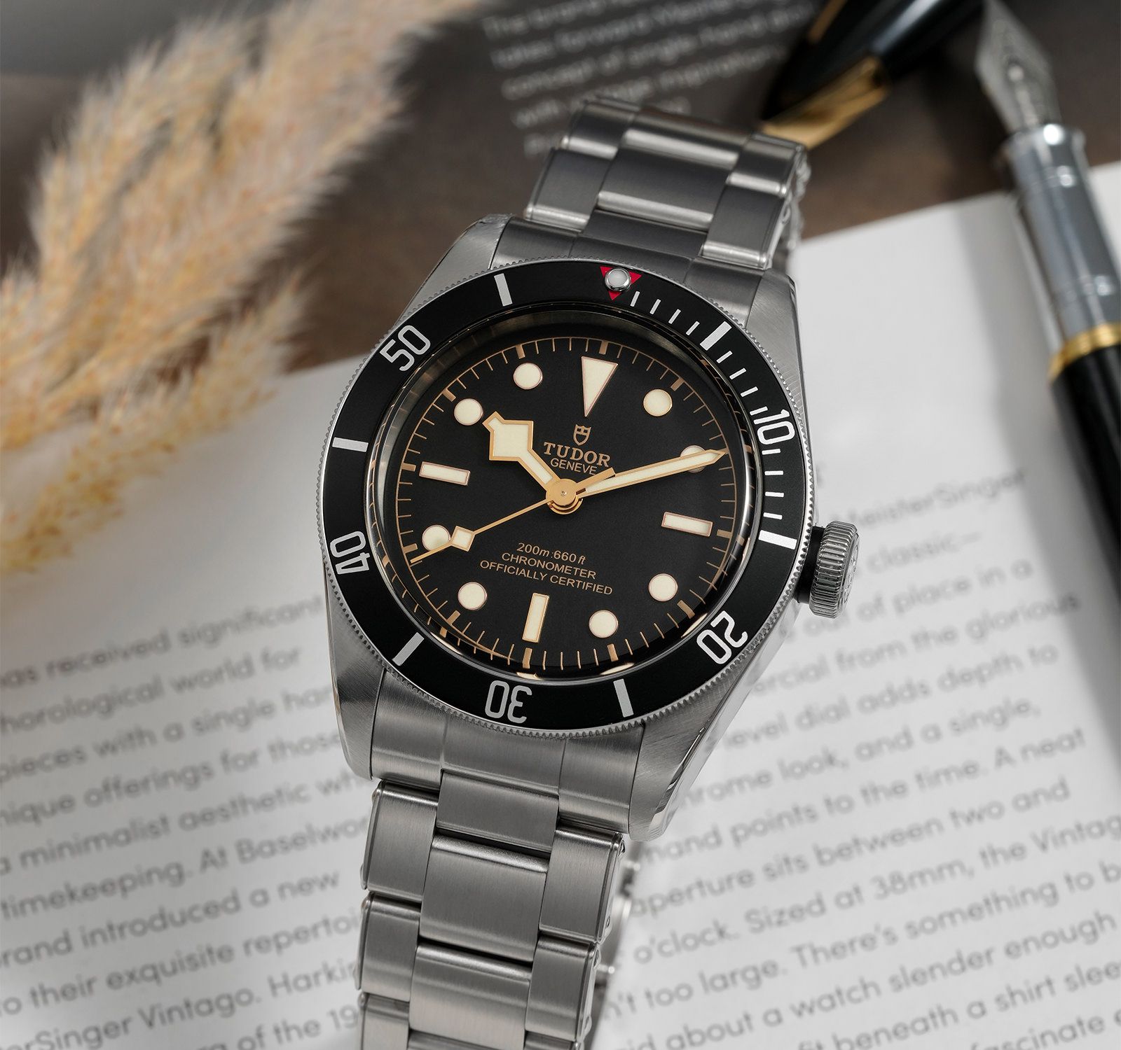 Pre-Owned Tudor Black Bay Men Watch in Black Colour Dial