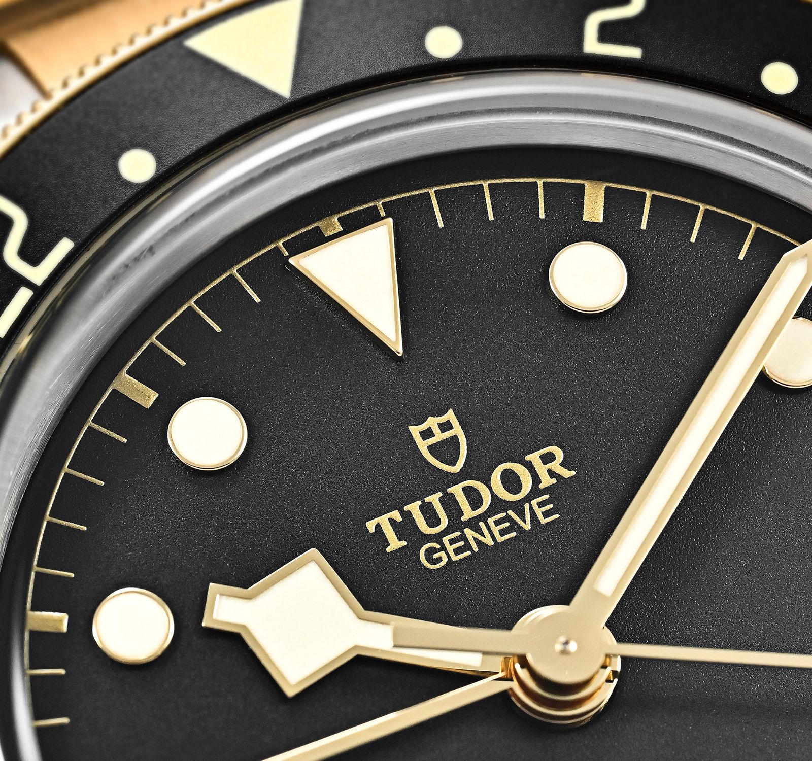 Black Bay M79833MN-0001