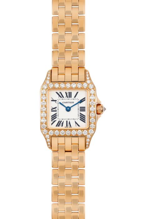 Cartier Santos Demoiselle WF9008Z8-POWG21A