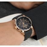 Audemars Piguet Watches