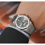 Audemars Piguet Watches