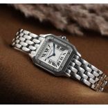 Cartier W4PN0008