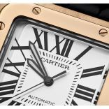 Pre-Owned Cartier W20095Y1 Price