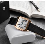 Cartier W2006951