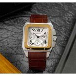 Cartier W20091X7
