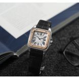 Cartier W20107X7