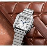 Cartier WSSA0029