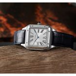 Cartier WSSA0032