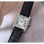 Cartier WSTA0042