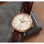 IWC IW356504