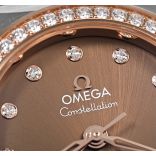 Constellation 131.25.29.20.63.001