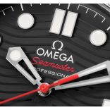 Seamaster 210.30.42.20.01.002