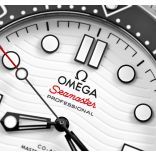 Seamaster 210.30.42.20.04.001