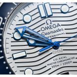 Seamaster 210.32.42.20.06.001