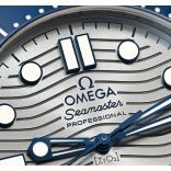 Seamaster 210.32.42.20.06.001