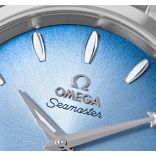 Seamaster 220.10.38.20.03.004