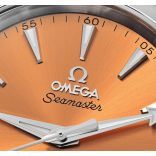 Seamaster 220.10.38.20.12.001