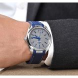 Pre-Owned Omega Seamaster Price