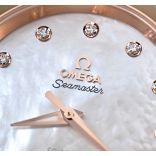 Seamaster 220.20.38.20.55.001