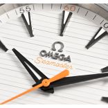 Seamaster 220.10.41.21.02.001