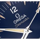 Omega Watches