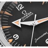 Seamaster 234.10.39.20.01.001