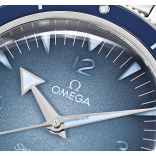 Seamaster 234.30.41.21.03.002