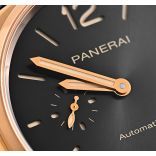 PAM01041-1