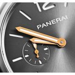 PAM01250