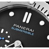 Submersible PAM00973-1