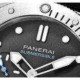 Submersible PAM00973-2