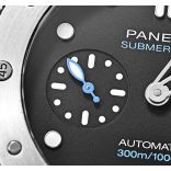 PAM00973-2