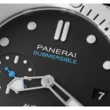 Submersible PAM00973-POWG21A