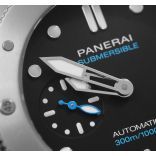 PAM00973-POWG21A