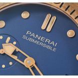 Submersible PAM01074