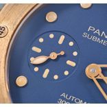 PAM01074