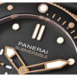 Submersible PAM01164