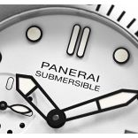 Submersible PAM01223